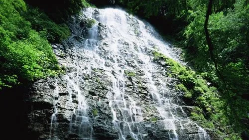 高性能高性能